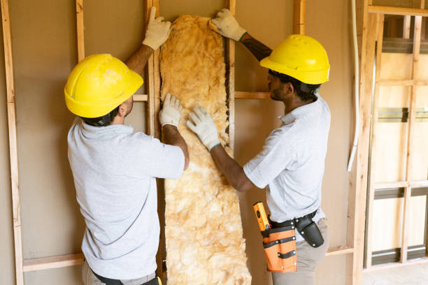 Best Commercial Insulation Services in Erlanger, KY